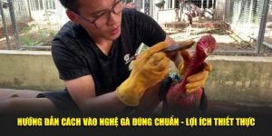 Cách Vào Nghệ Gà
